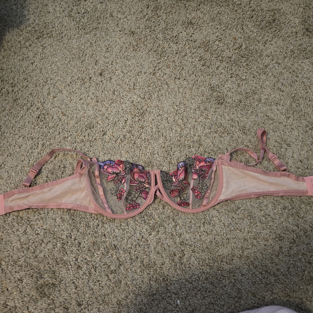 Floral Embroidered Sheer Pink Bra Adore Me 38f 38ddd Underwire Nwot